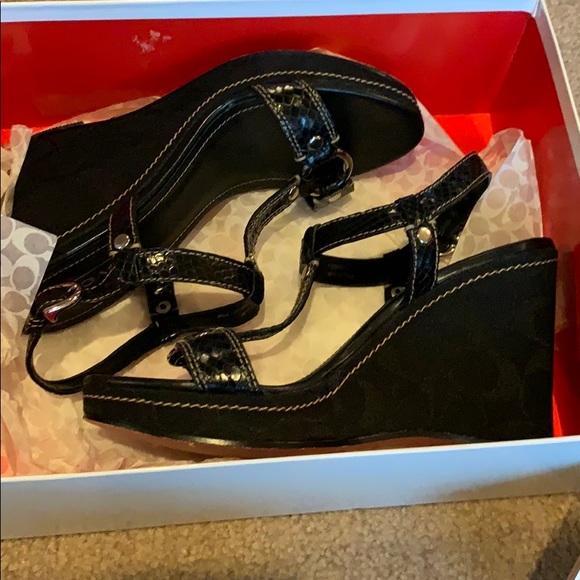 Coach Mayra Metallic Kid platform shoes. - Picture 6 of 8